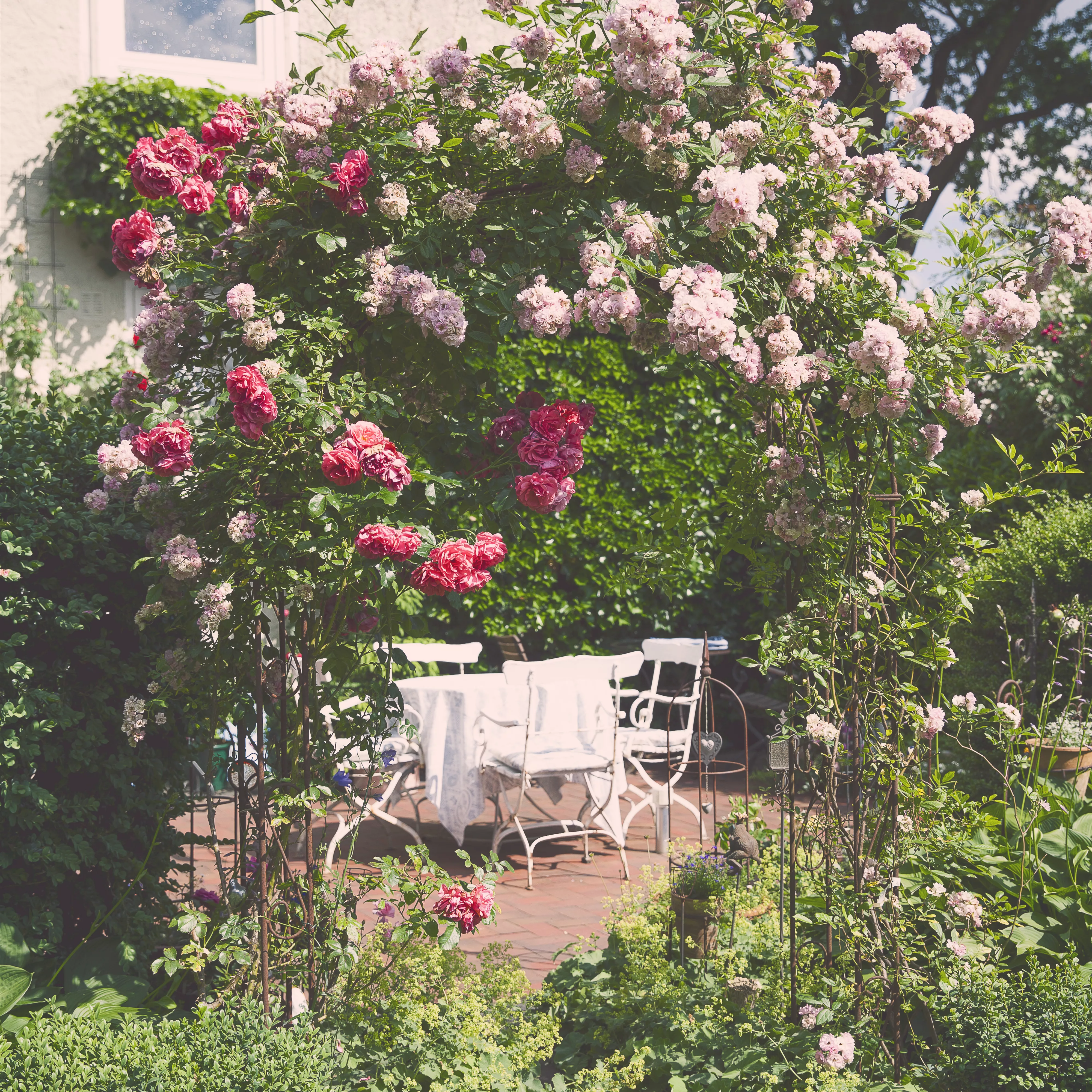 Sichtschutz für deinen Garten