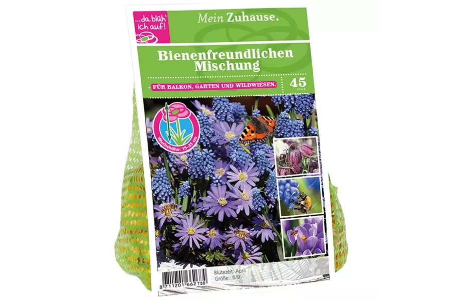 Blumenzwiebelzauber im Frühjahr