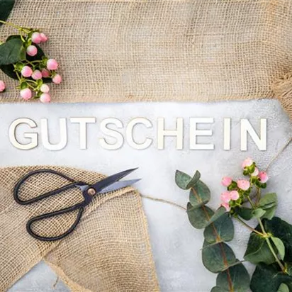 Gutscheine