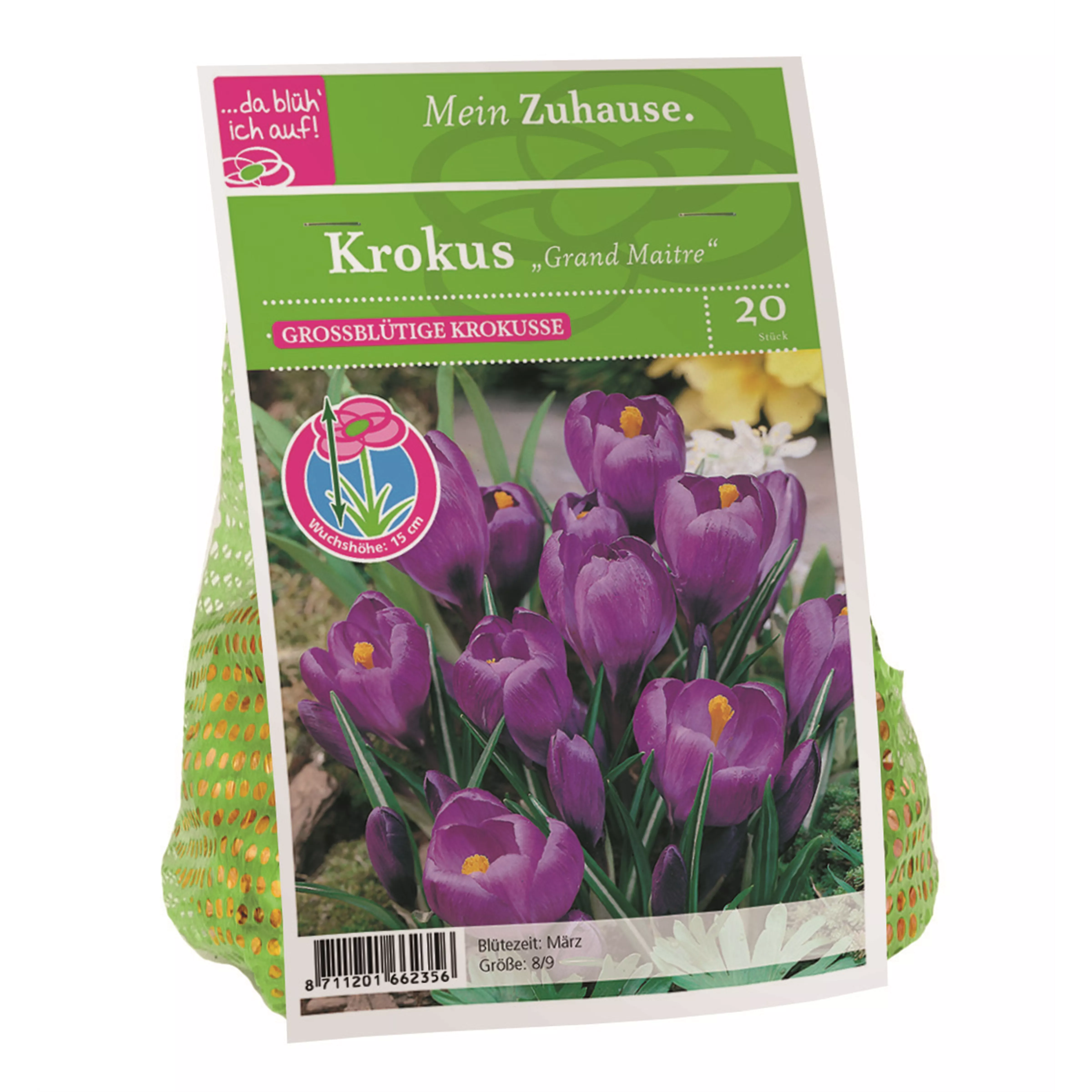 Blumenzwiebel Krokus 'Grand Maitre'