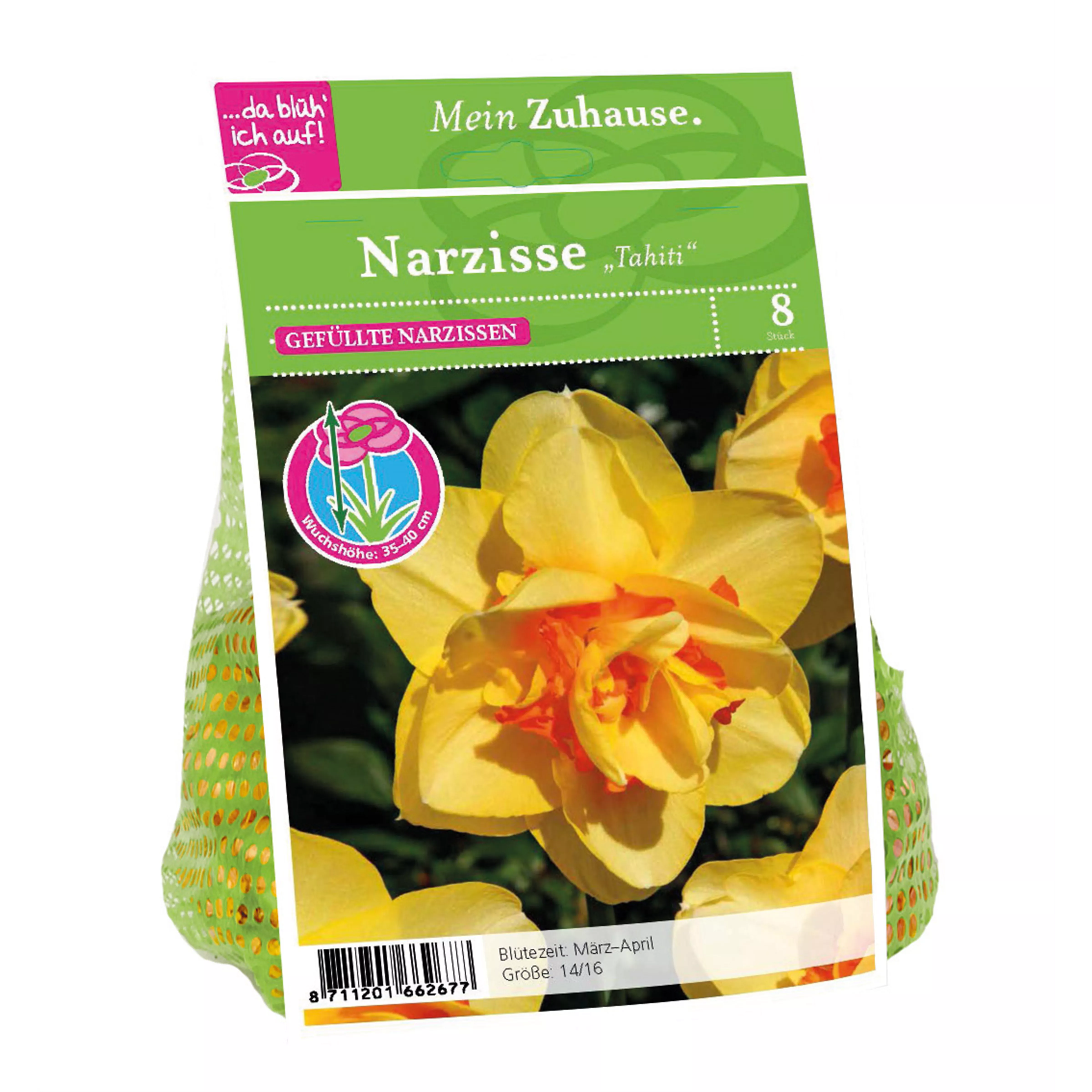 Blumenzwiebel Narzisse 'Tahiti'