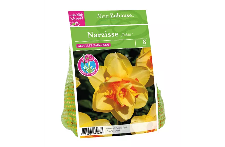 Blumenzwiebel Narzisse 'Tahiti'