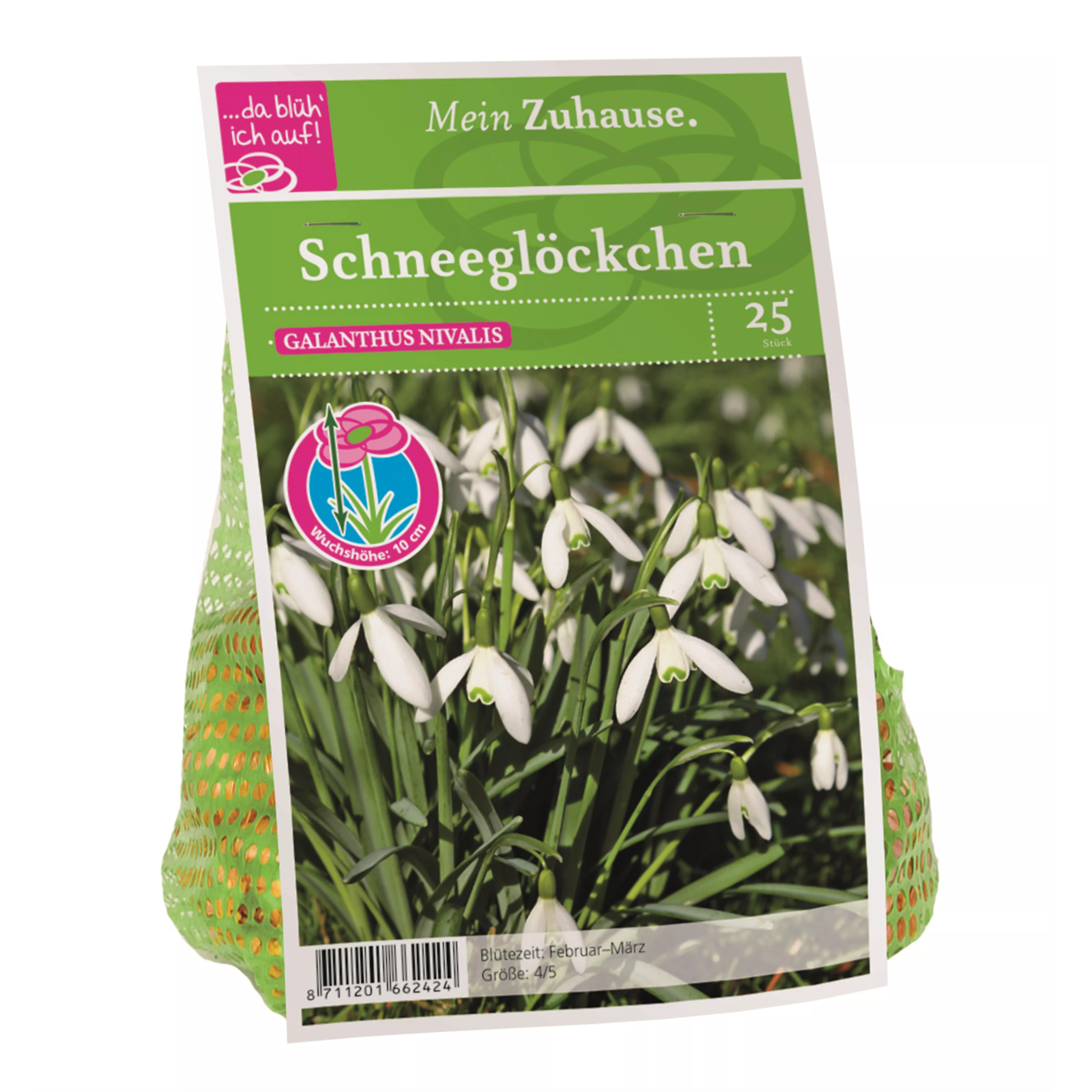 Blumenzwiebel Schneeglöckchen weiß